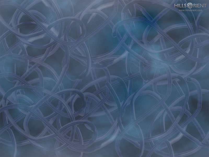 Free Desktop Wallpaper