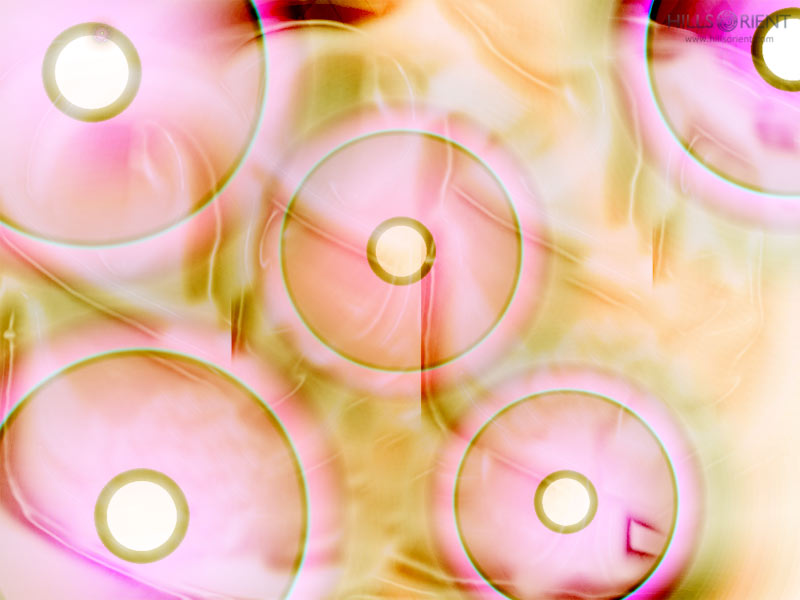 Free Desktop Wallpaper