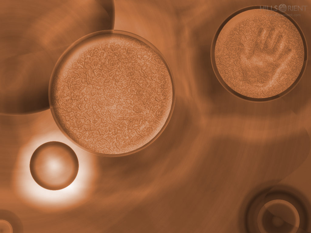 Free Desktop Wallpaper