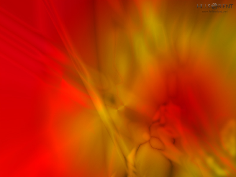 Free Desktop Wallpaper