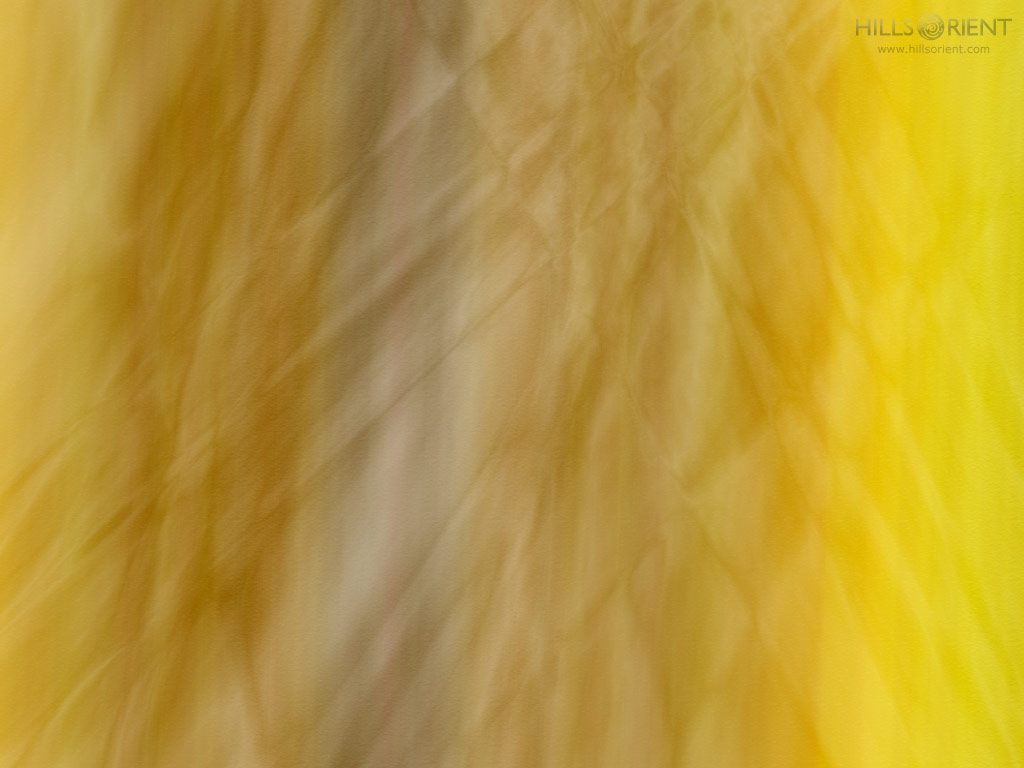 Free Desktop Wallpaper